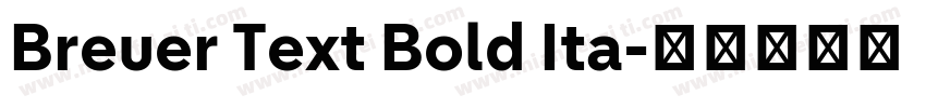Breuer Text Bold Ita字体转换
